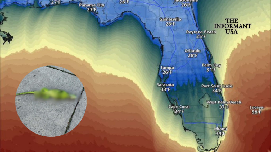 An Arctic air mass brings record-low temperatures and snow to northern U.S. regions, and unexpected cold to Florida.